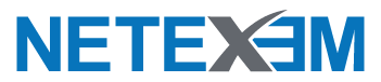 Netexem logo